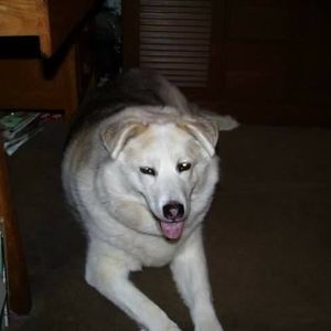 Meet your Posher, Carolyn